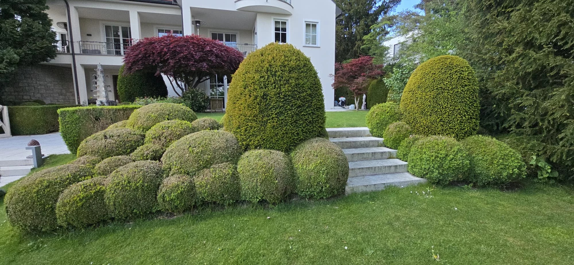 Professioneller Formschnitt und Gartenpflege
